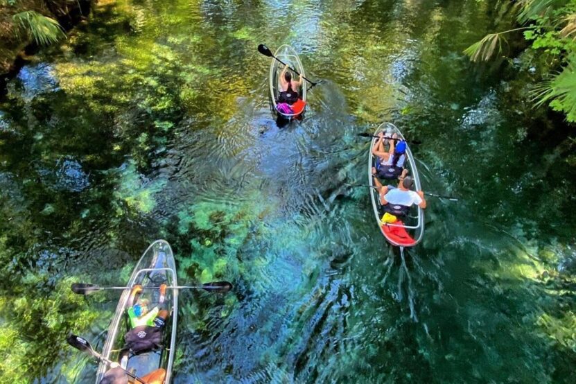 15 Best Clear Kayaking Tours In Florida Explore Aquatic Wonders