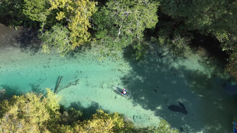 Clear Kayak Tours