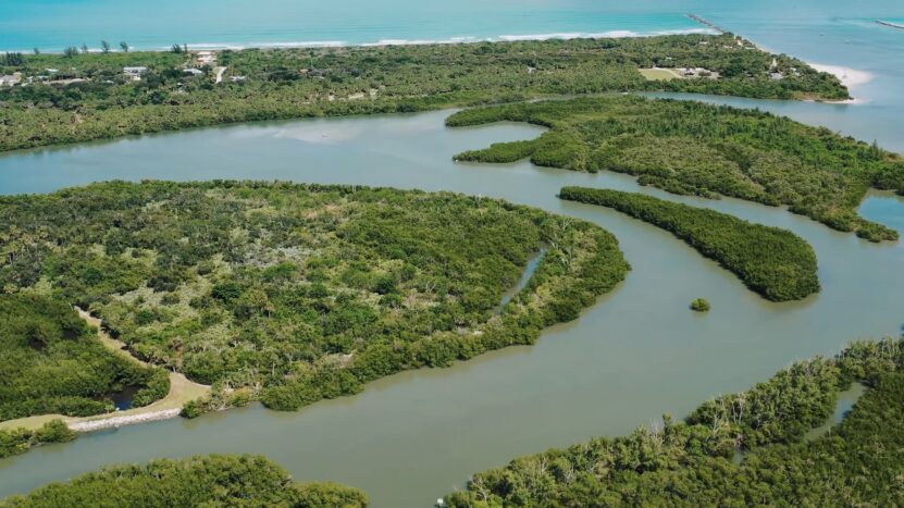 Clear Kayak Tours in Fort Pierce