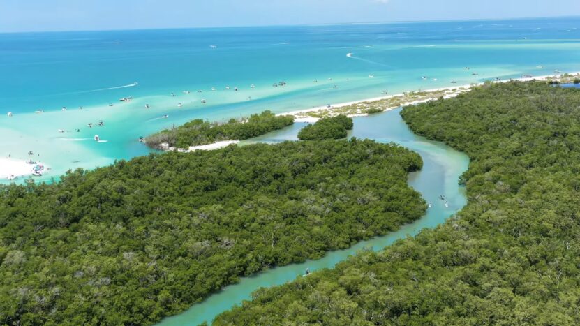 Clear Kayaking in Naples