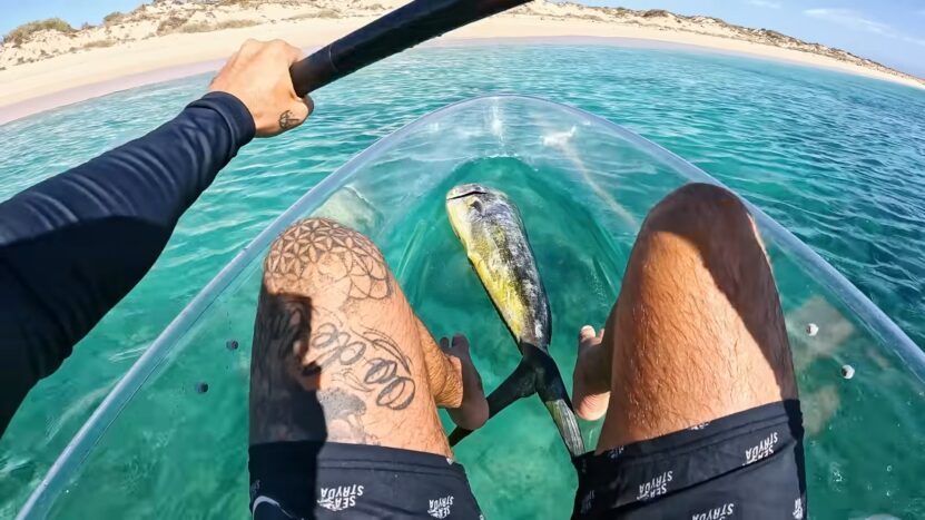 Transparent Kayak tour